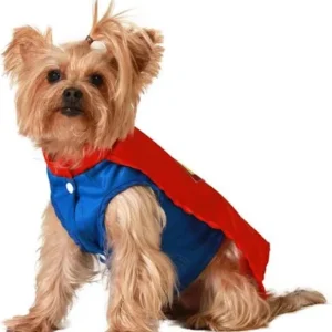 DISFRAZ DE SUPERHÉROE PARA PERRO