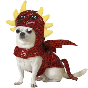 DISDRAZ DE DRAGÓN PARA PERRO