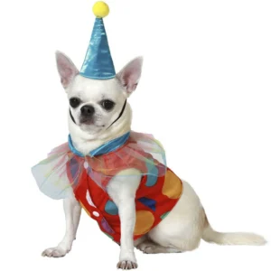 DISFRAZ DE PAYASO PARA PERRO