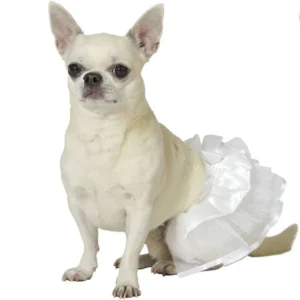 DISFRAZ DE TUTÚ BLANCO PARA PERRITA