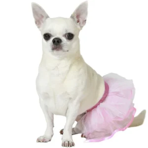 DISFRAZ DE TUTÚ ROSA PARA PERRITA