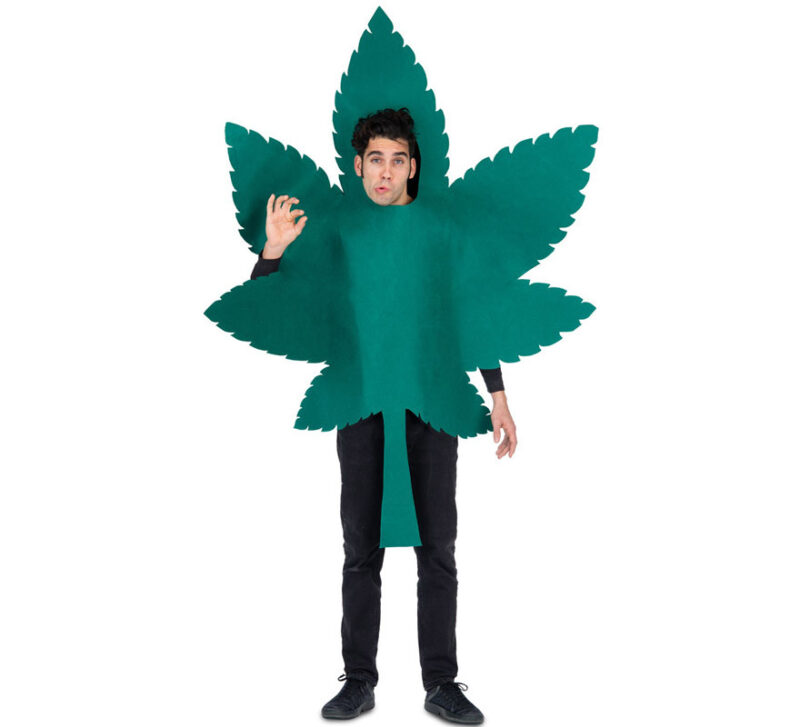 disfraz de hoja de marihuana para adulto 800x727 - DISFRAZ DE HOJA DE MARIHUANA ADULTO